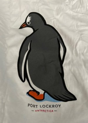 Day 7 Lockroy Shirt 2.jpg