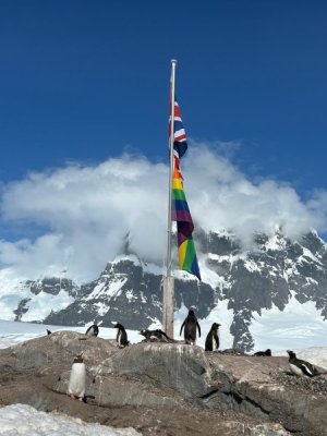 Day 7 Penguins flagpole.jpg