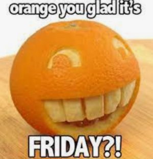 9C88E55C-F722-4228-8F49-14666CE8BC76.jpeg