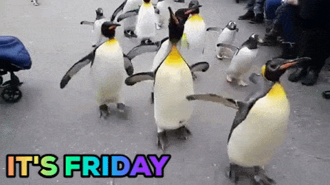 1677271043433.gif