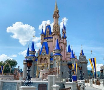 WDW-Magic-Kingdom-AP-Preview-Cinderella-Castle-Paint-by-Numbers-1-700x605.jpg