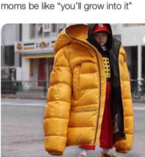 1677294067501.png