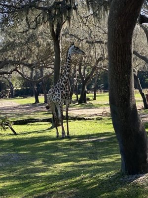 52668794542_1d3abc6e37_c.jpg