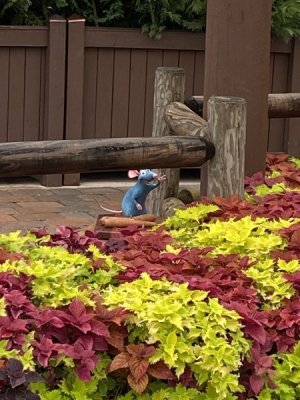 IMG_4166.JPEG