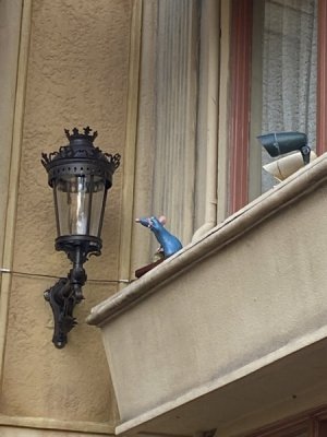 IMG_4178.JPEG