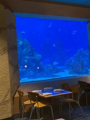 IMG_4207.JPEG