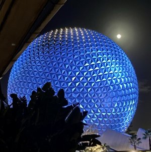 IMG_4219.JPEG