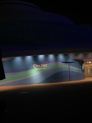 IMG_4220.JPEG