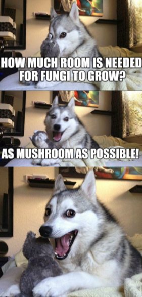 5BC0987A-B72E-4893-AC5B-8CCE554E721B.jpeg
