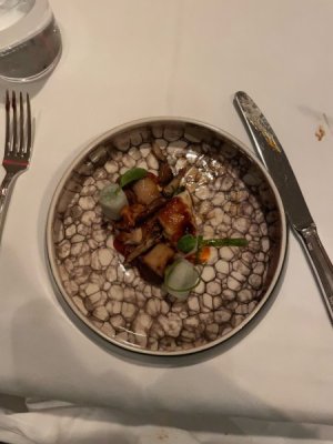 C091768C-ABA3-4DF5-B3C9-32AC6D7C06F4.jpeg
