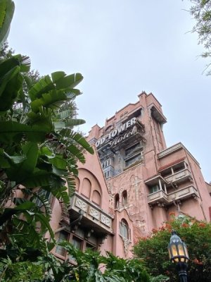 IMG_4254.JPEG