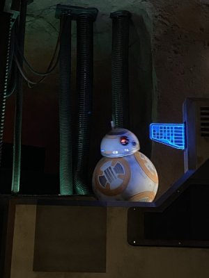 IMG_4291.JPEG