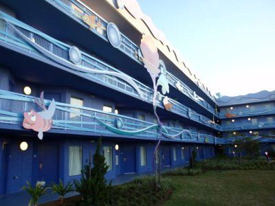 P3140004(1).jpg