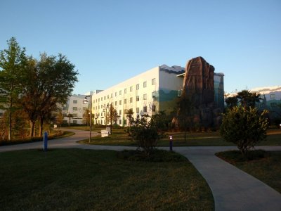 P3140005.jpg