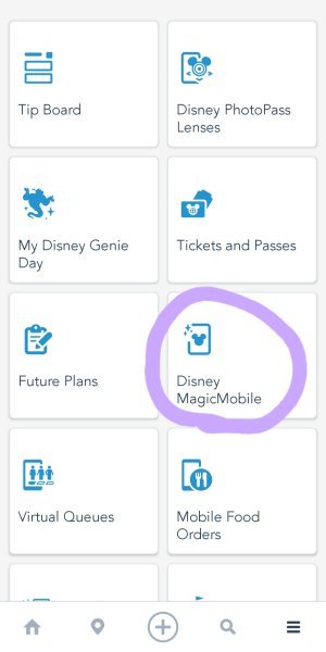 Screenshot_20230303_090933_Disney World.jpg