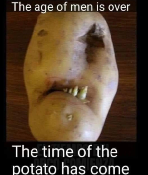 1677859822729.png