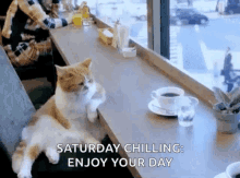 1677962322123.gif