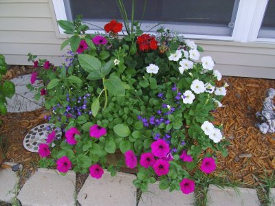 PICT0310.JPG