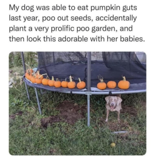 1678041182606.png