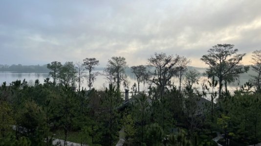 9E579E43-4AFB-4830-ADF6-DAE41D09D5B1.jpeg