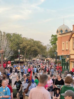 IMG_0567.jpg