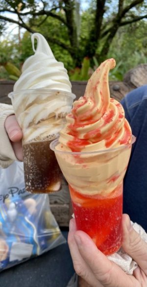 IMG_4376.JPEG
