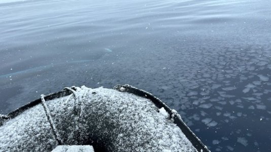 Day 8 snow zodiac.jpg
