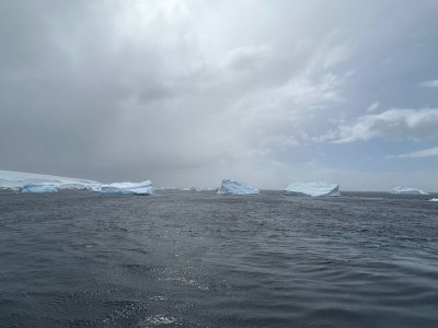 Day 8 Recess Cove.jpg
