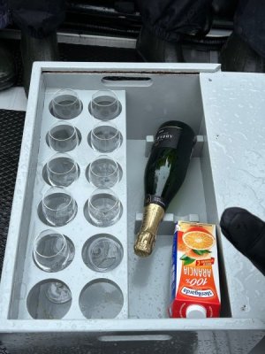Day 9 Champagne.jpg