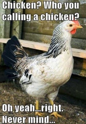 0A99D6DE-0E03-46EE-8877-2989F94ABAB5.jpeg