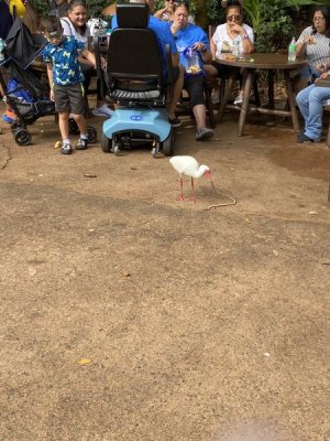 C6F60F08-B05C-42E9-8B84-045123C71F2C.jpeg