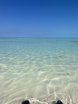 D106F3D3-8179-495A-910D-55093C0BE9D2.jpeg