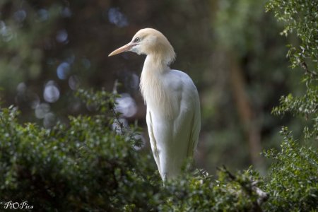 220930 MelZoo-64.jpg