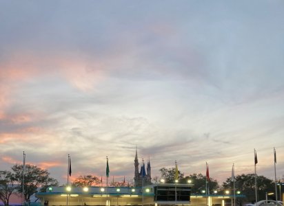 IMG_0131.jpg
