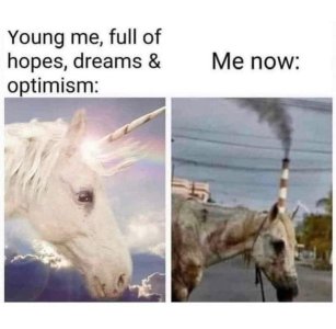 1679024717261.jpeg