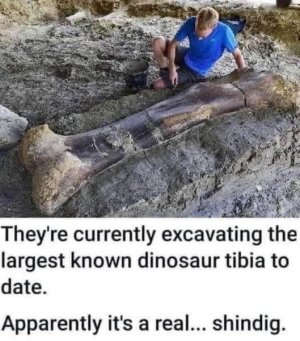 5B71F5F2-5266-4B14-B585-CE1DD068EA33.jpeg