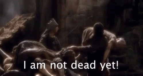F4DD2B80-0FA0-41AB-BB7B-3BA2993B01FD.gif