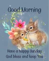 Happy Sunday.jpg
