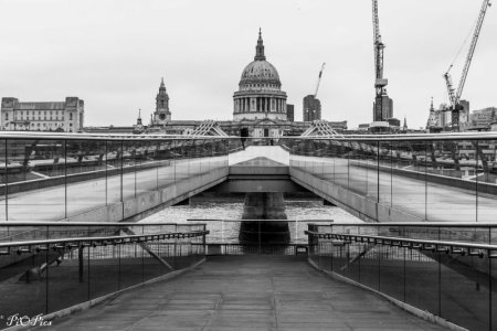 2023 UK-9109-2.jpg