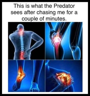 1679407273969.jpeg