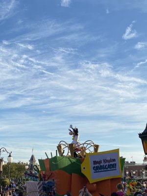 IMG_4374.JPEG