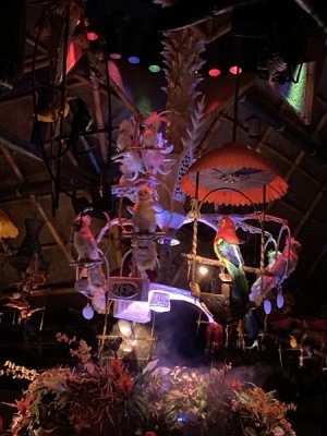 IMG_4396.JPEG