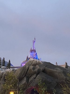 IMG_4399.JPEG