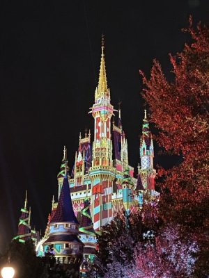 IMG_4408.JPEG