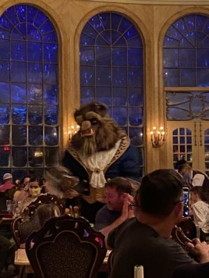 IMG_4421.JPEG