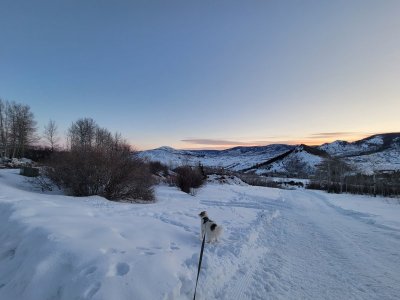 20230319_071034.jpg