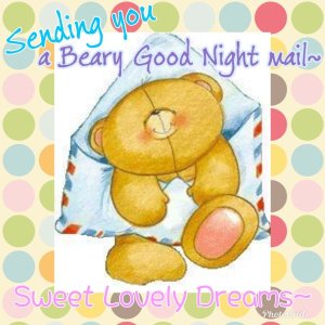 Beary Good Night.jpg