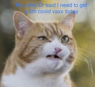 D71D2B58-1B86-42C8-96A9-BE4827B2DBFA.jpeg