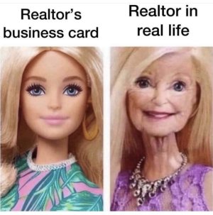 1680455232125.jpeg