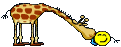 1680540538510.gif